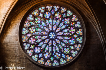 Fensterrosette  Barcelona Catalunya Spanien by Peter Ehlert in Barcelonas Kirchen