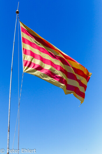 Catalanische Flagge  Barcelona Catalunya Spanien by Peter Ehlert in Barcelona Stadtrundgang