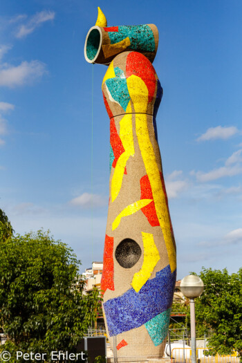 Dona i Ocell - Frau und Vogel (1983)  Barcelona Catalunya Spanien by Peter Ehlert in Barcelona Stadtrundgang