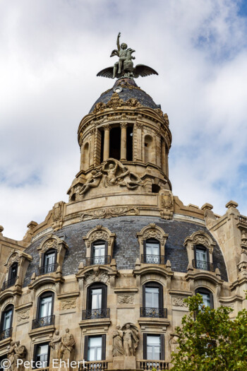 Hauskuppel mit Schwan und Junge  Barcelona Catalunya Spanien by Peter Ehlert in Barcelona Stadtrundgang