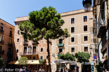 Friedvoller Platz  Barcelona Catalunya Spanien by Peter Ehlert in Barcelona Stadtrundgang