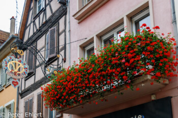 Balkon mit Blumen  Colmar Grand Est Frankreich by Peter Ehlert in Colmar Weekend