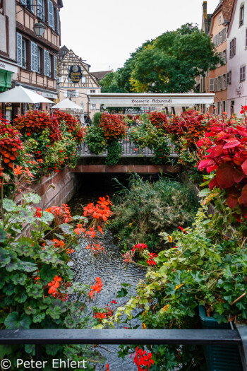 Blumen auf Brücke in Altstadt  Colmar Alsace-Champagne-Ardenne-Lorrain Frankreich by Peter Ehlert in Colmar Weekend