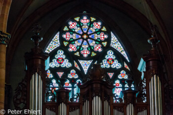 Andreas Silbermann Orgel aus 1755  Colmar Alsace-Champagne-Ardenne-Lorrain Frankreich by Peter Ehlert in Colmar Weekend