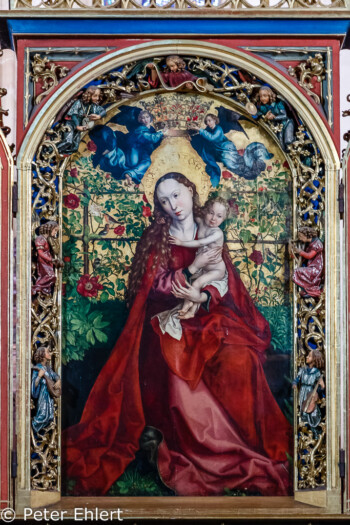 Die Madonna im Rosenhag von Martin Schongauer  Colmar Alsace-Champagne-Ardenne-Lorrain Frankreich by Peter Ehlert in Colmar Weekend