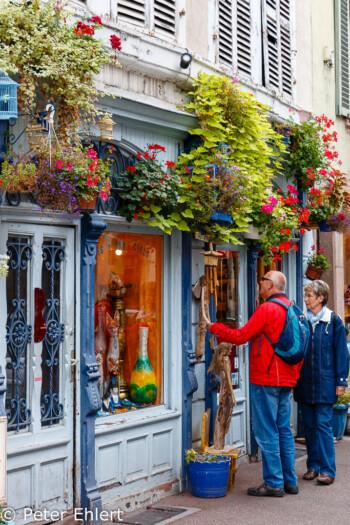 Geschäft mit Blumen  Colmar Grand Est Frankreich by Peter Ehlert in Colmar Weekend