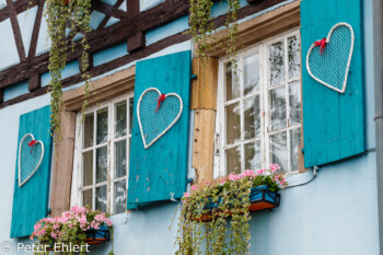 Fensterläden mit Herzen  Colmar Grand Est Frankreich by Peter Ehlert in Colmar Weekend