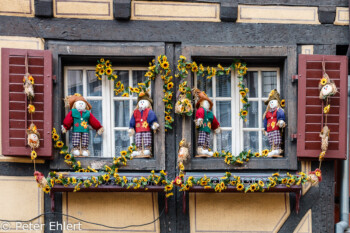 Fensterdekoration  Colmar Alsace-Champagne-Ardenne-Lorrain Frankreich by Peter Ehlert in Colmar Weekend