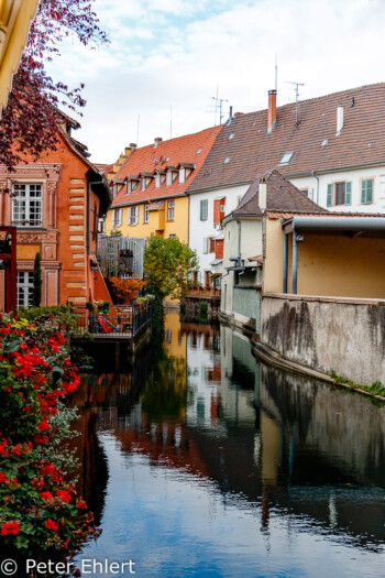 Fachwerkhäuser am Fluss La Lauch  Colmar Alsace-Champagne-Ardenne-Lorrain Frankreich by Peter Ehlert in Colmar Weekend