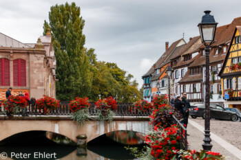 Fachwerkhäuser am Fluss La Lauch  Colmar Alsace-Champagne-Ardenne-Lorrain Frankreich by Peter Ehlert in Colmar Weekend