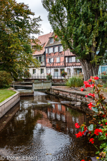 Fluss mit Häusern  Colmar Alsace-Champagne-Ardenne-Lorrain Frankreich by Peter Ehlert in Colmar Weekend