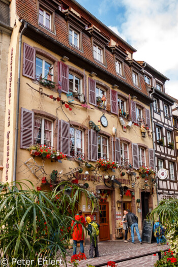 Brasserie des Tanneurs  Colmar Alsace-Champagne-Ardenne-Lorrain Frankreich by Peter Ehlert in Colmar Weekend