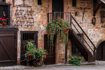 Cour du Weinhof  Colmar Alsace-Champagne-Ardenne-Lorrain Frankreich by Peter Ehlert in Colmar Weekend