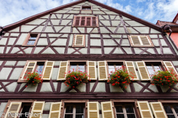 Fachwerkhaus  Colmar Alsace-Champagne-Ardenne-Lorrain Frankreich by Peter Ehlert in Colmar Weekend