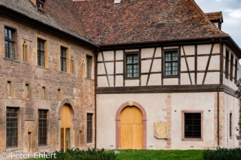 Musée Unterlinden
  Colmar Alsace-Champagne-Ardenne-Lorrain Frankreich by Peter Ehlert in Colmar Weekend