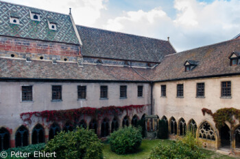 Kreuzgang  Colmar Alsace-Champagne-Ardenne-Lorrain Frankreich by Peter Ehlert in Colmar Weekend