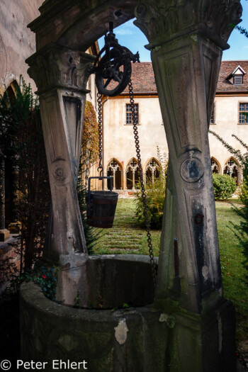 Brunnen am Kreuzgang  Colmar Alsace-Champagne-Ardenne-Lorrain Frankreich by Peter Ehlert in Colmar Weekend