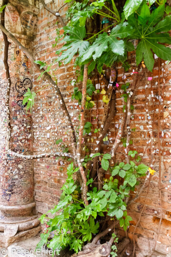 Baum mit Liebesbeweisen  Verona Veneto Italien by Peter Ehlert in Verona Weekend mit Opernaufführung