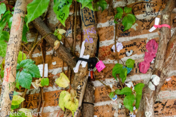 Baum mit Liebesbeweisen  Verona Veneto Italien by Peter Ehlert in Verona Weekend mit Opernaufführung