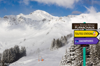 Aufgewirbelter Neuschnee  Champéry Valais Schweiz by Peter Ehlert in Skigebiet Portes du Soleil