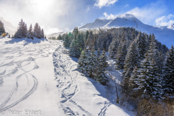 Aufgewirbelter Neuschnee, Spuren auf Piste  Abondance Rhône-Alpes Frankreich by Peter Ehlert in Skigebiet Portes du Soleil