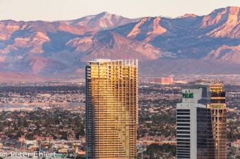 Charleston Peak hinter Palms   Las Vegas Nevada  by Peter Ehlert in Las Vegas Stadt und Hotels