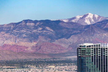Charleston Peak hinter Palms   Las Vegas Nevada USA by Peter Ehlert in Las Vegas Stadt und Hotels