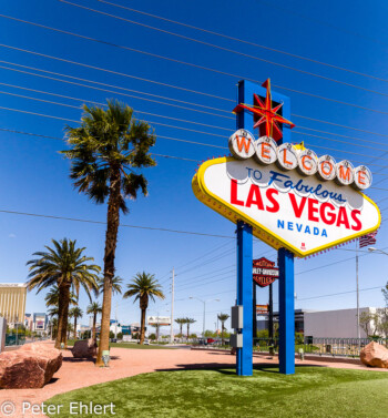 Las Vegas Sign  Las Vegas Nevada USA by Peter Ehlert in Las Vegas Stadt und Hotels