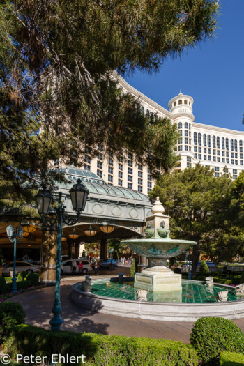 Brunnen  Las Vegas Nevada USA by Peter Ehlert in Las Vegas Stadt und Hotels