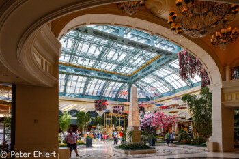 Zugang Ausstellungsbereich  Las Vegas Nevada USA by Peter Ehlert in Las Vegas Stadt und Hotels