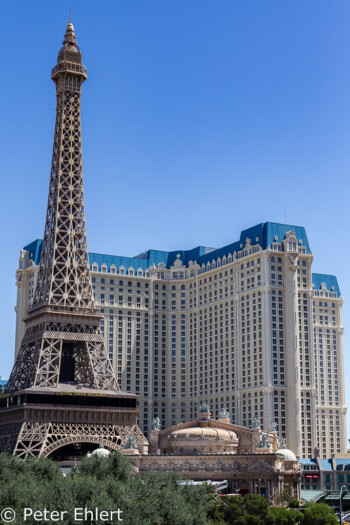 Eiffelturm und Paris Hotel  Las Vegas Nevada USA by Peter Ehlert in Las Vegas Stadt und Hotels