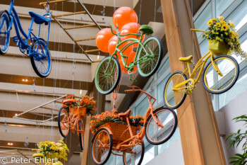 Ceiling decoration - bikes  Las Vegas Nevada USA by Peter Ehlert in Las Vegas Stadt und Hotels