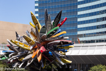 Sculpture Made Of Over 200 Boats von Nancy Rubin  Las Vegas Nevada USA by Peter Ehlert in Las Vegas Stadt und Hotels