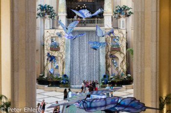 Wasserfall und Schmetterlinge  Las Vegas Nevada USA by Peter Ehlert in Las Vegas Stadt und Hotels