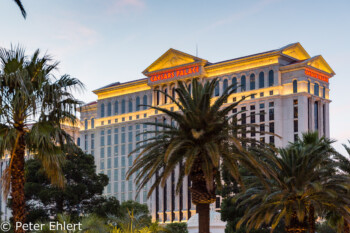 Caesars Palace Hotel  Las Vegas Nevada USA by Peter Ehlert in Las Vegas Stadt und Hotels