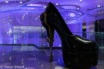 Deko Schuh vor Bar  Las Vegas Nevada  by Peter Ehlert in Las Vegas Stadt und Hotels