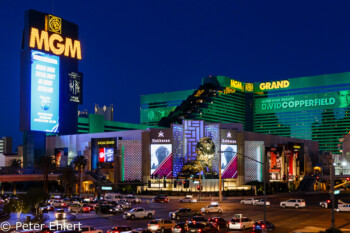 MGM Grand Hotel  Las Vegas Nevada USA by Peter Ehlert in Las Vegas Stadt und Hotels
