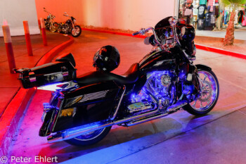 Harley Davidson  Las Vegas Nevada USA by Peter Ehlert in Las Vegas Stadt und Hotels