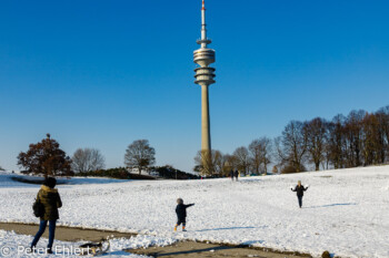 Kinder im Schnee  München Bayern Deutschland by Peter Ehlert in Olympiapark im Winter