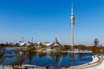 See mit Schwimmhalle, Turm und BMW Gebäude  München Bayern Deutschland by Peter Ehlert in Olympiapark im Winter
