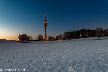 Park mit Turm  München Bayern Deutschland by Peter Ehlert in Olympiapark im Winter