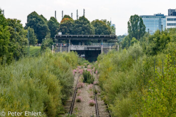 Bahnhof  München Bayern Deutschland by Peter Ehlert in lost place Bahnhof München Olympiastadion