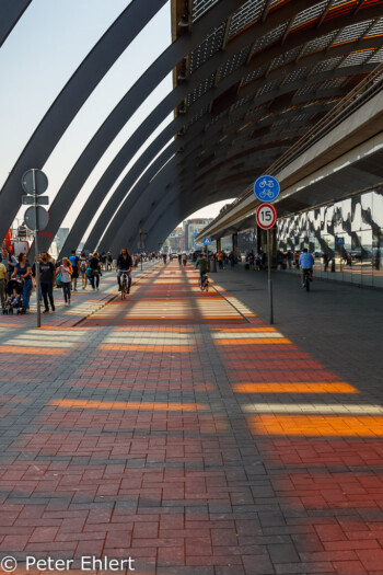 Bunte Schatten auf Radweg  Amsterdam Noord-Holland Niederlande by Peter Ehlert in Amsterdam Trip