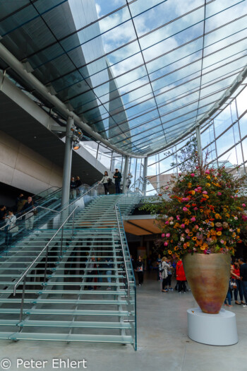 Eingangsbereich mit Treppe  Amsterdam Noord-Holland Niederlande by Peter Ehlert in Amsterdam Trip