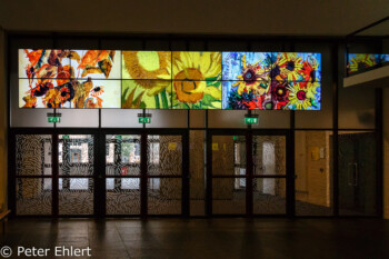 Displays über Notausgang  Amsterdam Noord-Holland Niederlande by Peter Ehlert in Amsterdam Trip