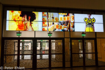 Displays über Notausgang  Amsterdam Noord-Holland Niederlande by Peter Ehlert in Amsterdam Trip