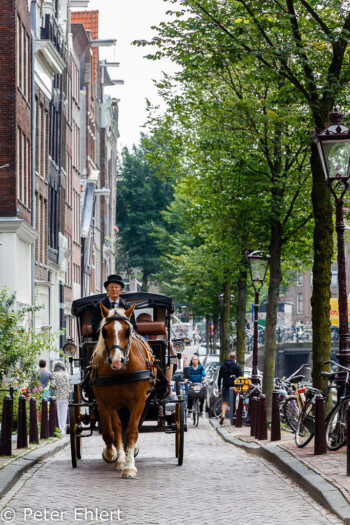 Kutsche  Amsterdam Noord-Holland Niederlande by Peter Ehlert in Amsterdam Trip