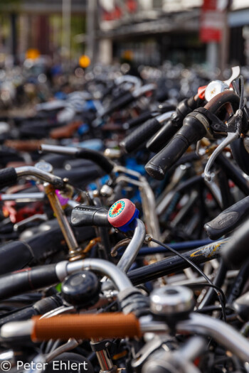 Bike parking  Amsterdam Noord-Holland Niederlande by Peter Ehlert in Amsterdam Trip