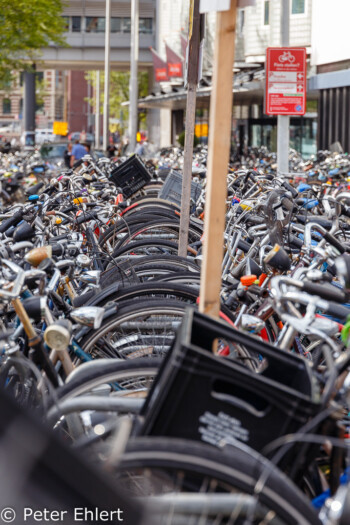 Bike parking  Amsterdam Noord-Holland Niederlande by Peter Ehlert in Amsterdam Trip