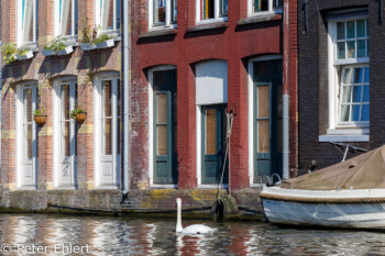 Hauseingänge am Wasser  Amsterdam Noord-Holland Niederlande by Peter Ehlert in Amsterdam Trip